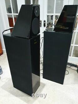 Meridian D6000 Boothroyd Stuart Digital Floor standing stereo speakers