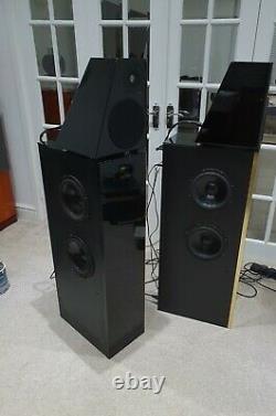 Meridian D6000 Boothroyd Stuart Digital Floor standing stereo speakers