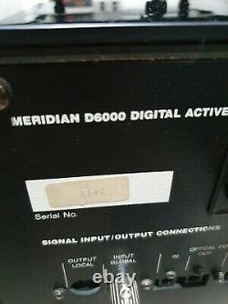 Meridian D6000 Boothroyd Stuart Digital Floor standing stereo speakers