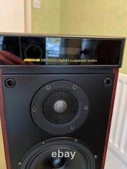 Meridian DSP5000 Digital Active Floor Standing Speakers