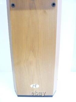 Musical Technology Harrier British Floor Standing High End Hifi Speakers #W6