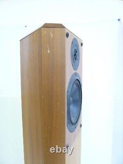 Musical Technology Harrier British Floor Standing High End Hifi Speakers #W6