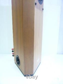 Musical Technology Harrier British Floor Standing High End Hifi Speakers #W6