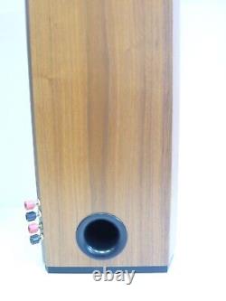 Musical Technology Harrier British Floor Standing High End Hifi Speakers #W6