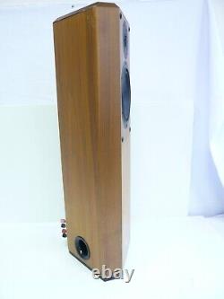 Musical Technology Harrier British Floor Standing High End Hifi Speakers #W6