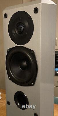 Musical Technology Kestrel Floor standing Stereo Speakers Extremely Rare Colour