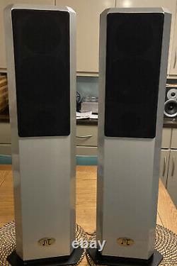 Musical Technology Kestrel Floor standing Stereo Speakers Extremely Rare Colour