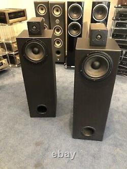 NSMT Model 100 Floor Standing Speakers Great Condition. Used. FREE DELIVERY