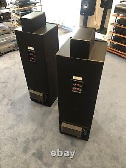 NSMT Model 100 Floor Standing Speakers Great Condition. Used. FREE DELIVERY