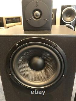 NSMT Model 100 Floor Standing Speakers Great Condition. Used. FREE DELIVERY