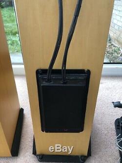 Naim Allae Floorstanding Speakers Excellent Condition