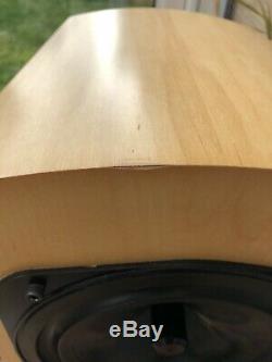 Naim Allae Floorstanding Speakers Excellent Condition