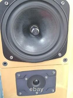 Naim Allae floorstanding speakers new Scanspeak tweeters