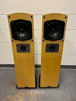 Naim Allae floorstanding stereo speakers