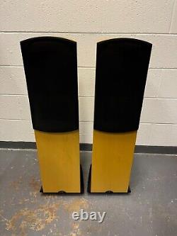 Naim Allae floorstanding stereo speakers