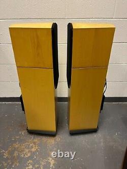 Naim Allae floorstanding stereo speakers