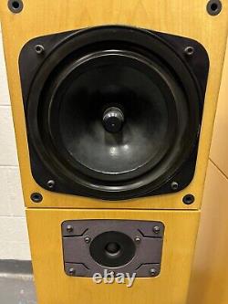 Naim Allae floorstanding stereo speakers