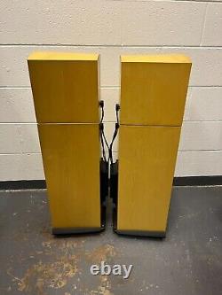 Naim Allae floorstanding stereo speakers