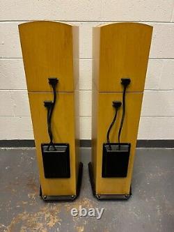 Naim Allae floorstanding stereo speakers