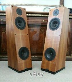 Naim Ariva Floor standing stereo speakers N-sat