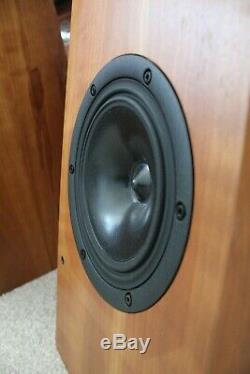 Naim Ariva Floor standing stereo speakers N-sat