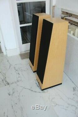 Naim Audio Ariva Floor standing stereo speakers N-sat