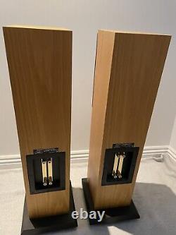 Neat Motive 2 Floorstanding Speakers (Oak)