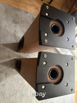 Neat Motive SX1 Walnut Floorstanding Speakers