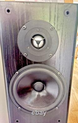 PMC FB1 Transmission Floorstanding Speakers in Black