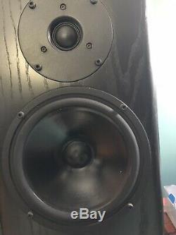 PMC FB1+ floor standing speakers perfect working order
