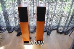 PMC GB1 floor standing speakers Cherry finish