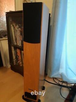 PMC GB1i Floor standing Speakers