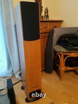 PMC GB1i Floor standing Speakers