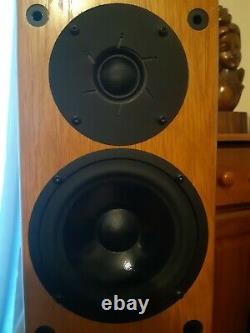 PMC GB1i Floor standing Speakers