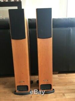 PMC Group GB1 Main / Stereo Speakers / cheery / used / floor standing