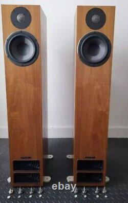 PMC Tewenty5 24 Floor standing Speakers Boxed & Beautiful