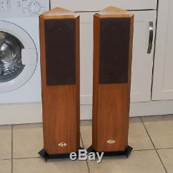 Pair MT/Musical Technology Kestrel British Floor Standing High End Hifi Speakers