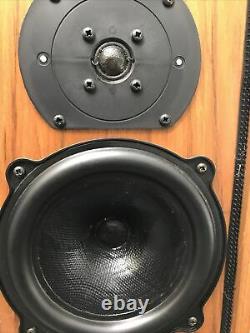 Perfect! B&W DM5 Bowers Wilkins Floor Standing Speakers Audiophile England UK 2