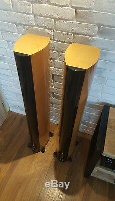 Pioneer S-H810V Hi End Floor Stand Speakers