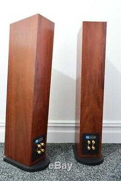 Pmc Twenty 23 Floor Standing Hi Fi Speakers. Twenty Series. Stunning