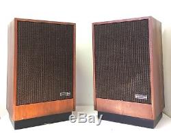 RARE Scott PRO 70 Controlled Impedance Floorstanding Speakers