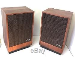 RARE Scott PRO 70 Controlled Impedance Floorstanding Speakers