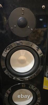 RS-300 HiFi Floor-Standing 50-300W