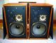 Rare Audiophile Tandberg TL-5020 Speakers System Made in Norway