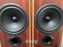 Rare! B&W P5 Bowers and Wilkins Floor Standing Speakers Audiophile England made