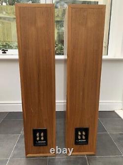 Rare! B&W P5 Bowers and Wilkins Floor Standing Speakers Audiophile England made