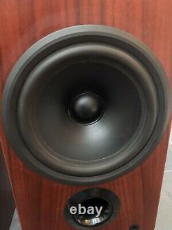 Rare! B&W P5 Bowers and Wilkins Floor Standing Speakers Audiophile England made