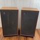 Rare & Hard To Find Vintage Dynatron LS 3038 Large Floorstanding Speaker Pair