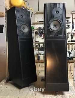 Rega Ela Mk1.25 Transmission Line Floorstanding Speakers