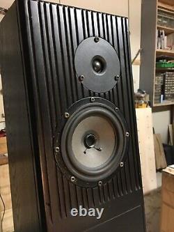 Rega Ela Mk1.25 Transmission Line Floorstanding Speakers